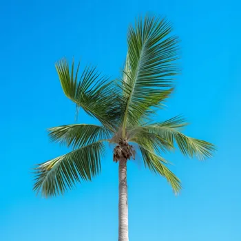 Plakát Plakát Vysočina Nebe bez rámu 90 x 90 cm