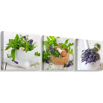 Obraz Obrazy do Kuchyně SADA Bylinky KVĚTINY Levandule Příroda Rostliny 90x30