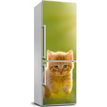 Fototapeta Samolepka / polep lednice - Zrzavý kocour 70x190 cm