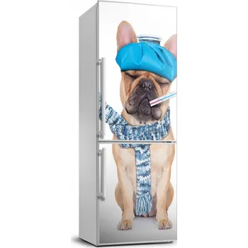 Fototapeta Foto Samolepka na ledničku, zeď - Nemocný pes