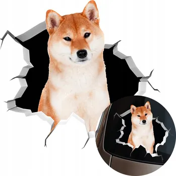 Samolepicí dekorace na vozidlo SAMOLEPKA Grafika na auto rozbité okno Vypadající Pes SHIBA INU 15x15