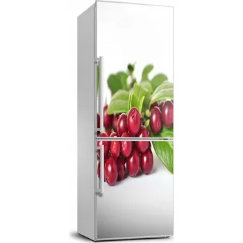 Fototapeta Samolepka na lednici, fólie Borůvka 70x190 cm