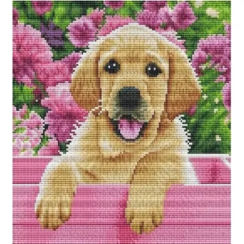 Obraz Sada na háčkování pro děti k šití PES labrador ruční práce VÝŠIVKA