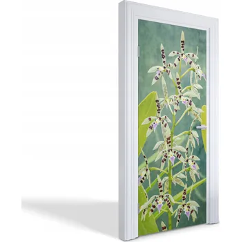 Fototapeta Samolepící nálepka na dveře šatní skříně Exotická orchidej 85x205 cm