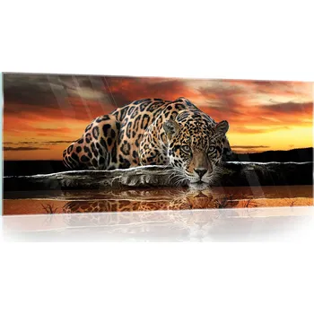 Obraz SKLENĚNÝ OBRAZ JAGUÁR DIVOKÁ KOČKA ZVÍŘATA 125X50