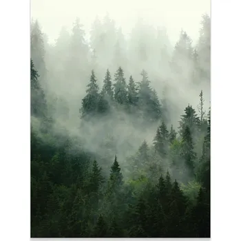 Obraz Plakát na zeď Les v mlze Příroda do ložnice obývacího pokoje Bez rámu 40x30