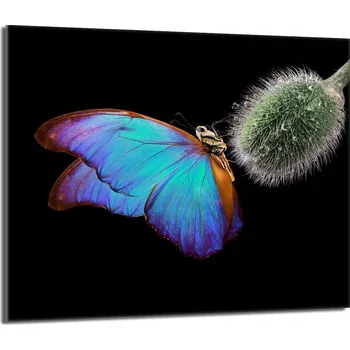 Kuchyňské prkénko Krájecí deska TMK ArtDeko sklo 1 ks