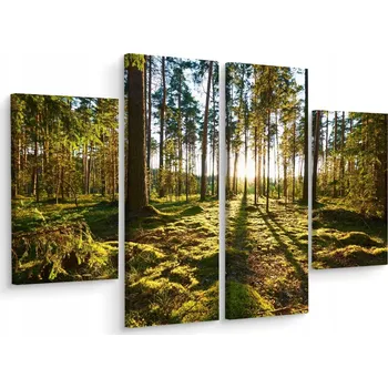 Obraz Vícedílný obraz Lesní výhled ZELEŇ 3D 200x150