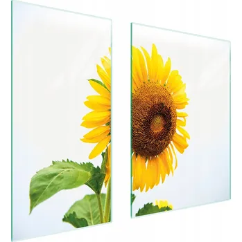 Kuchyňské prkénko Krájecí deska TMK ArtDeko sklo 2 ks