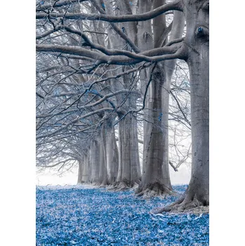 Obraz Plakát Stromy v řadě - Modré listy bez rámu 21 x 29,7 cm