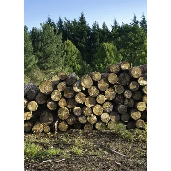 Obraz Plakát Hromada dřevěných klád 2 bez rámu 20,5 x 28,4 cm