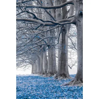 Obraz Plakát Stromy v řadě - Modré listy bez rámu 61 x 90,5 cm