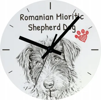 Hodiny Nástěnné hodiny Art-Dog bílé 20 cm