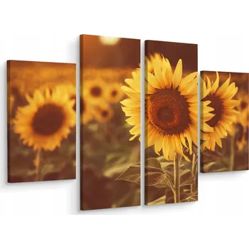 Obraz Obraz Čtyřdílný Slunečnice Květiny Krajina 200x150