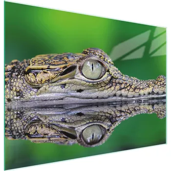 Kuchyňské prkénko Krájecí deska TMK ArtDeko sklo 1 ks