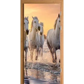 Fototapeta SAMOLEPICÍ SAMOLEPKA FÓLIE KONĚ CVÁLAJÍCÍ KONĚ MOŘE ZÁPAD