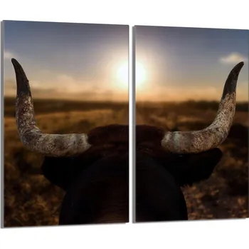 Kuchyňské prkénko Krájecí deska TMK ArtDeko sklo 2 ks