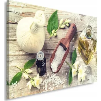 Obraz OBRAZ NA PLÁTNĚ Koření Bylinky béžová 60x40