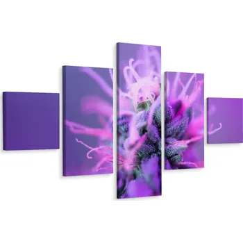 Obraz Pěti dílný obraz ROSTLINA Květ zblízka 3D 250x150 cm