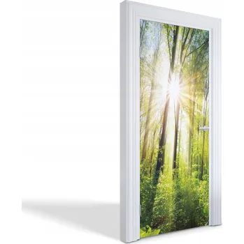 Fototapeta Fólie na dveře do kuchyně, obýváku, pokoje - Sluneční paprsky v lese 85x205 cm