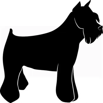 Obraz Samolepka na stěnu Drukant W-H023_70K knírač 70x70 cm