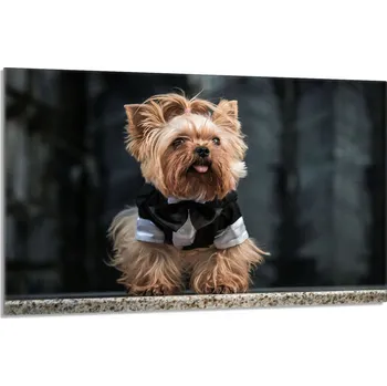 Kuchyňské prkénko Krájecí deska TMK ArtDeko sklo 1 ks