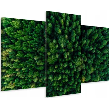 Obraz Obraz Triptych LES z Ptačí Perspektivy 3D Pohled 90x60