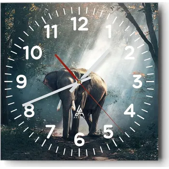 Hodiny Kuchyňské nástěnné hodiny 30x30 Zvířata Skleněné hodiny do obýváku Moderní Tiché