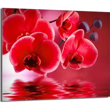 Kuchyňské prkénko Krájecí deska TMK ArtDeko sklo 1 ks