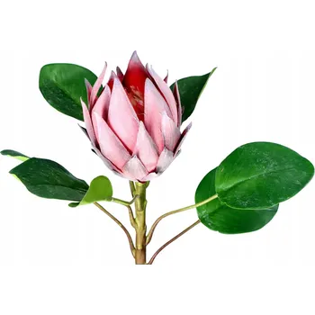 umělá květina Protea na stonku, umělý květ, velká růžová, 52 cm