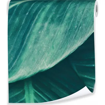 Tapeta Tapeta ZELENÉ LISTY do obýváku – Nástěnné tapety