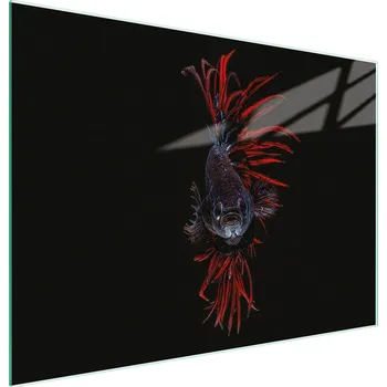 Kuchyňské prkénko Krájecí deska TMK ArtDeko sklo 1 ks