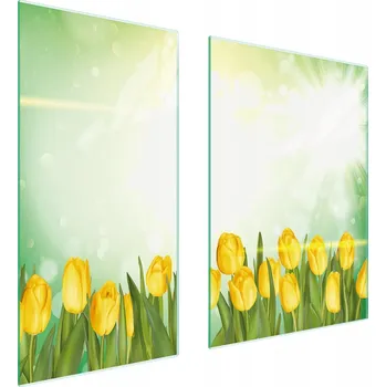 Kuchyňské prkénko Krájecí deska TMK ArtDeko sklo 2 ks