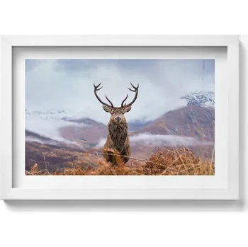 Obraz Obraz v bílém rámu nástěnná dekorace Jelen na horské louce 30x20 cm