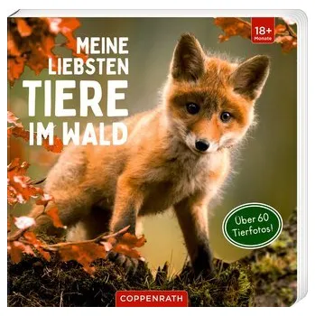 První čtění Meine liebsten Tiere im Wald