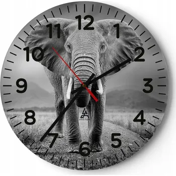 Hodiny Kuchyňské nástěnné hodiny 30x30 Slon Moderní skleněné hodiny do obýváku Tiché