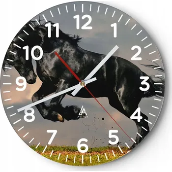 Hodiny Kuchyňské nástěnné hodiny 30x30 Zvířata Moderní skleněné hodiny Obývací pokoj Tiché