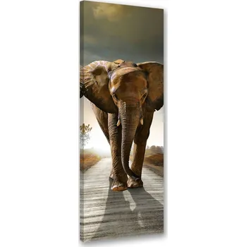 Obraz MODERNÍ OBRAZ Slon na cestě NA PLÁTNĚ 50x150