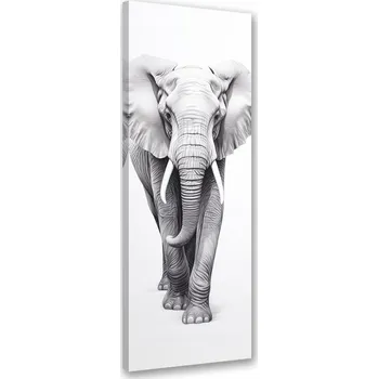 Obraz OBRAZ DO OBÝVÁKU Monochromatický slon NA PLÁTNĚ 50x150