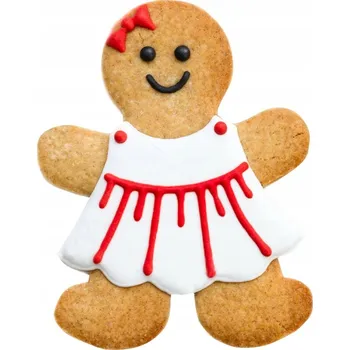 Polštář PANÍ PERNÍČKOVÁ polštář vánoční PERNÍČEK polštářek perník 30 x 40 cm