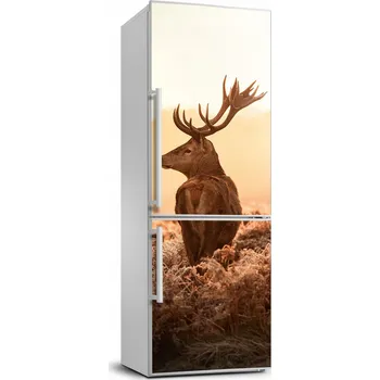 Fototapeta Samolepicí samolepící na ledničku Jelen východ