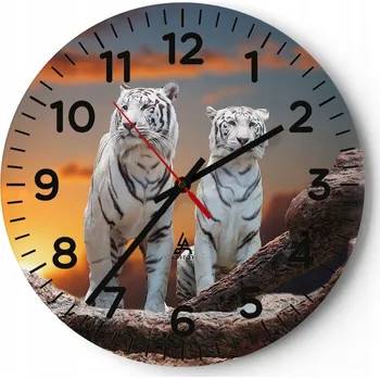Hodiny Kuchyňské nástěnné hodiny 30x30 Zvířata Moderní skleněné hodiny Obývací pokoj Tiché