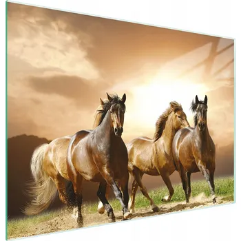 Kuchyňské prkénko Krájecí deska TMK ArtDeko sklo 2 ks