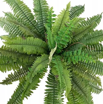umělá květina Umělá kapradina Boston Fejka Kapradí