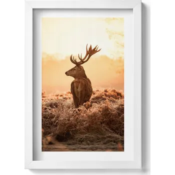 Obraz Obraz s motivem jelena při východu slunce v bílém rámu na zeď, 20x30 cm