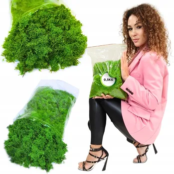 Obraz Dekorativní mech v balení fólie 500g 30 x 25 cm