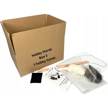 Bezpečnostní kamera Hobby Horse BOX S - Udělej si sám