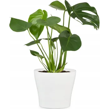 Květináč Květináč keramický bílý 13 cm