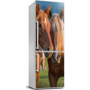 Fototapeta Samolepka / fólie na lednici - Dva koně 70x190 cm