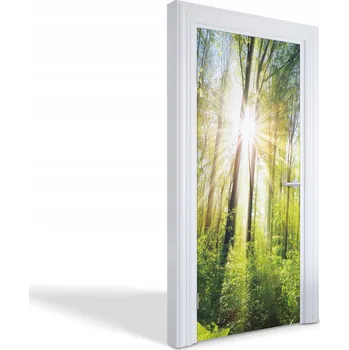 Fototapeta Fólie na dveře do kuchyně, obýváku, pokoje - Sluneční paprsky v lese 95x205 cm